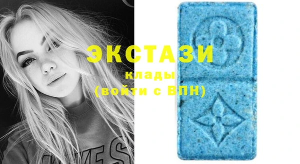 соль ск Богданович