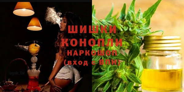 соль ск Богданович