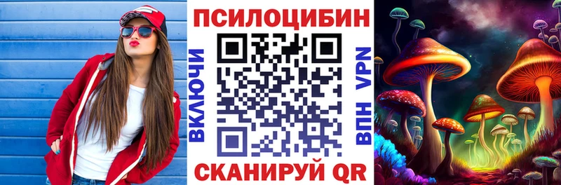 Псилоцибиновые грибы Magic Shrooms  Купить где  Чудово 
