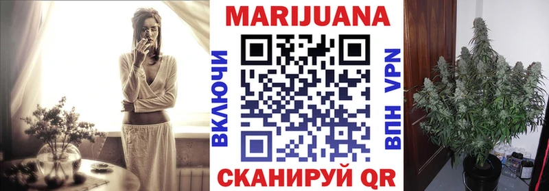 Купить где  Чудово  Канабис Ganja 